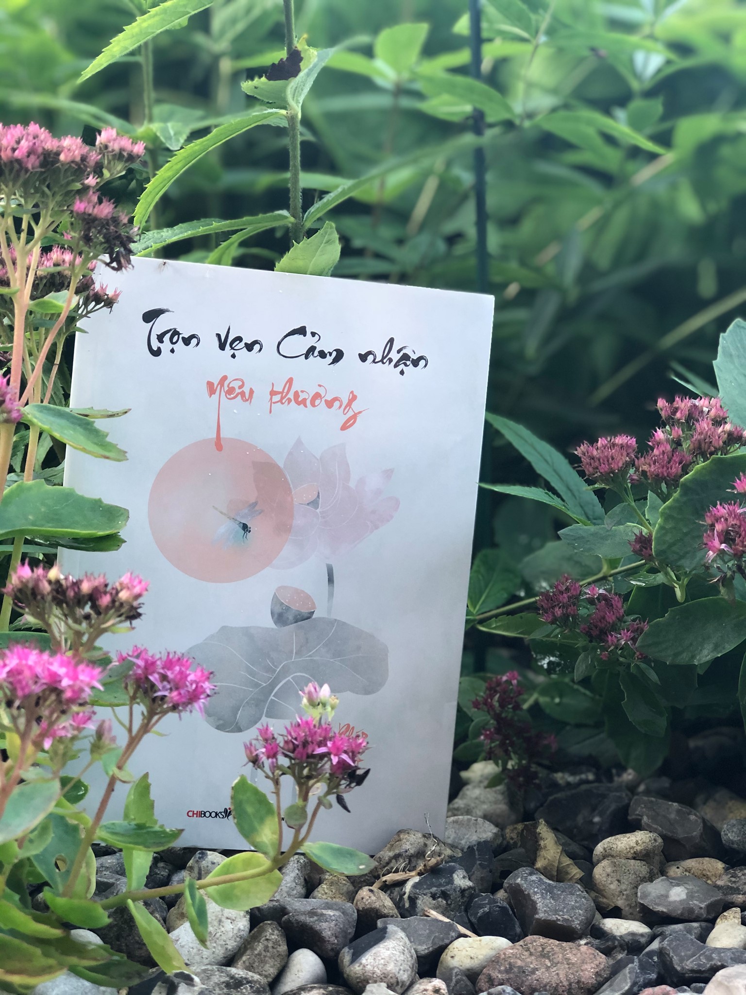 Trọn Vẹn, Cảm Nhận, Yêu Thương - Chibooks